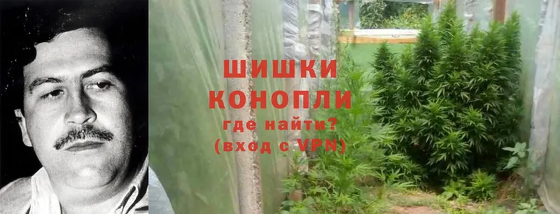 Каннабис White Widow  сколько стоит  Богородск 